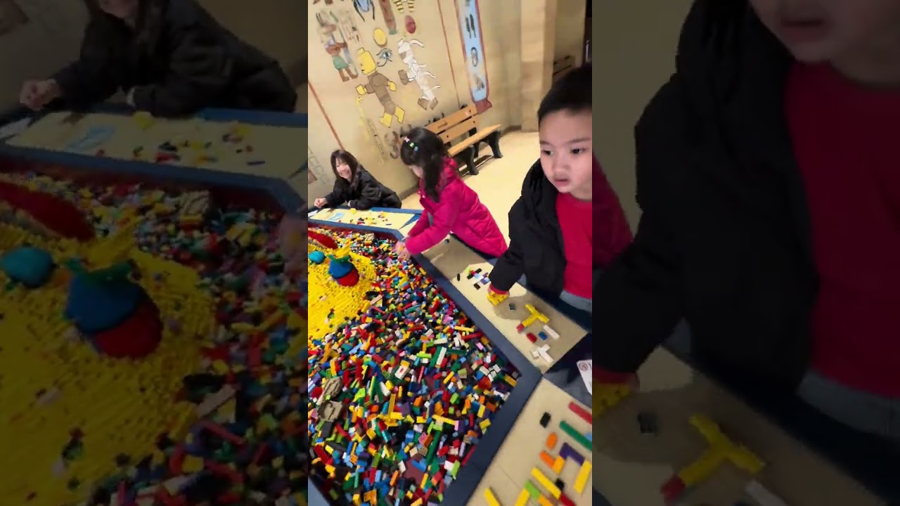 Lucas’ 7th birthday at Legoland x Sealife Japan!