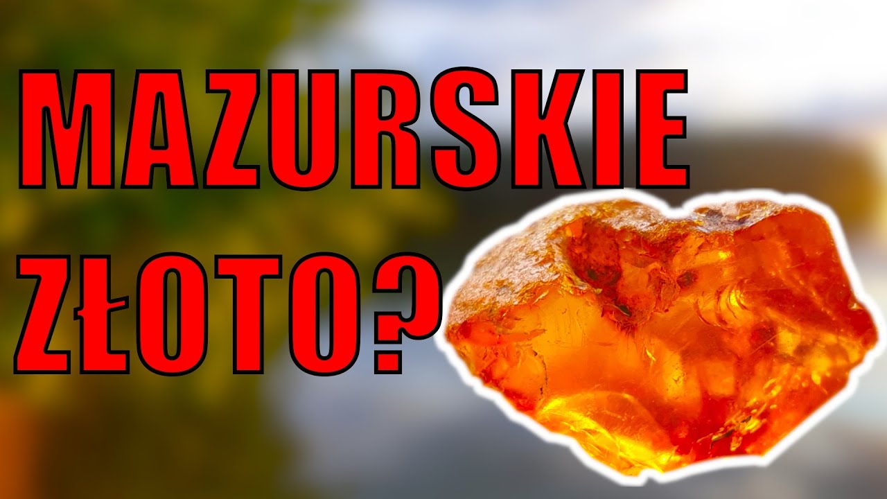 Poszukiwania bursztynu na Mazurach!