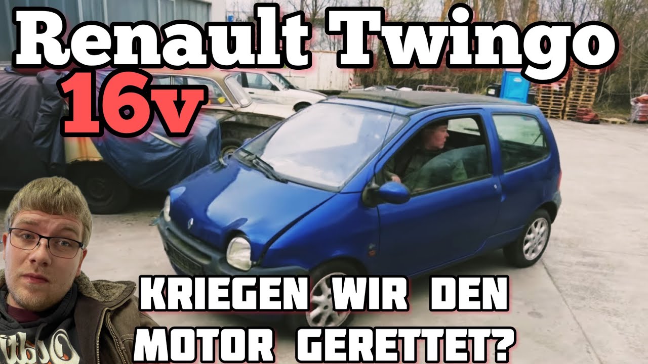 Ein sehr „spezieller“ Kauf… Grünspan Twingo Gartenfund für den Autohandel? | Gelebte Nachhaltigkeit