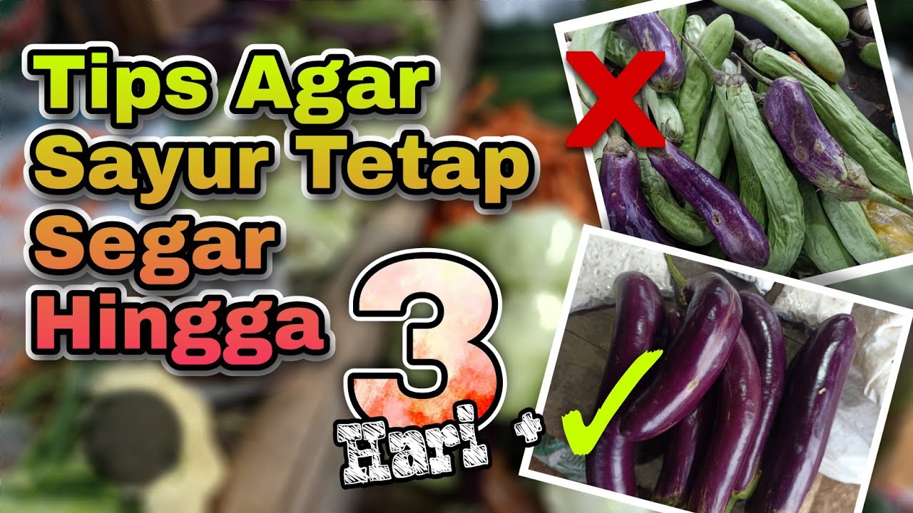 Cara Merawat Sayur Agar Tetap Segar Hingga Berhari-Hari. Pedagang Pemula Wajib Tau..