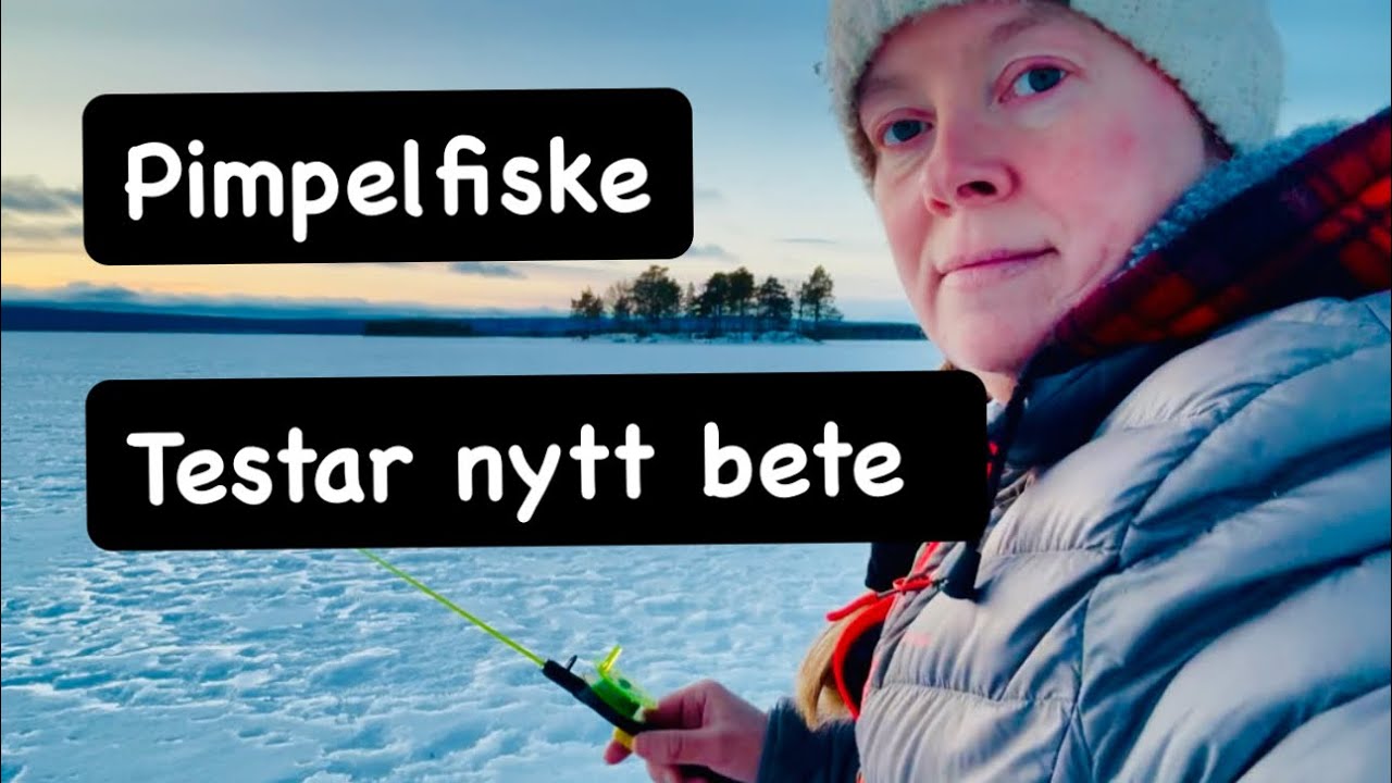 Pimpelfiske , med nytt bete ,dag 1,