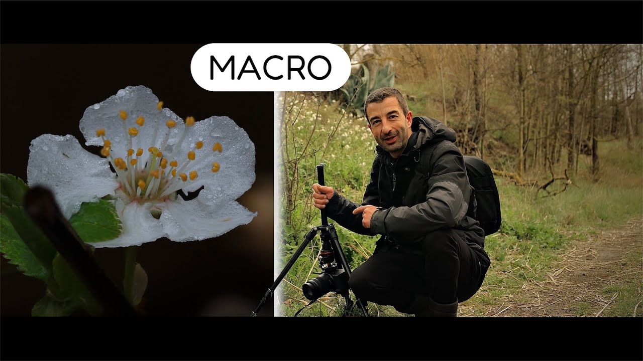 Haciendo MACRO en la NATURALEZA // haciendo FOTOS de PLANTAS con FLORES //PASADA lo que NO VÉ el OJO