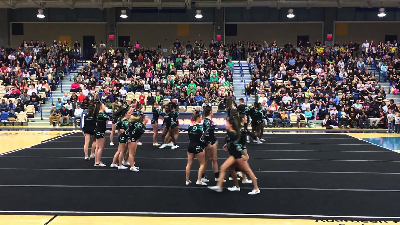 Arundel Wildcats cheer 2015 MD finals