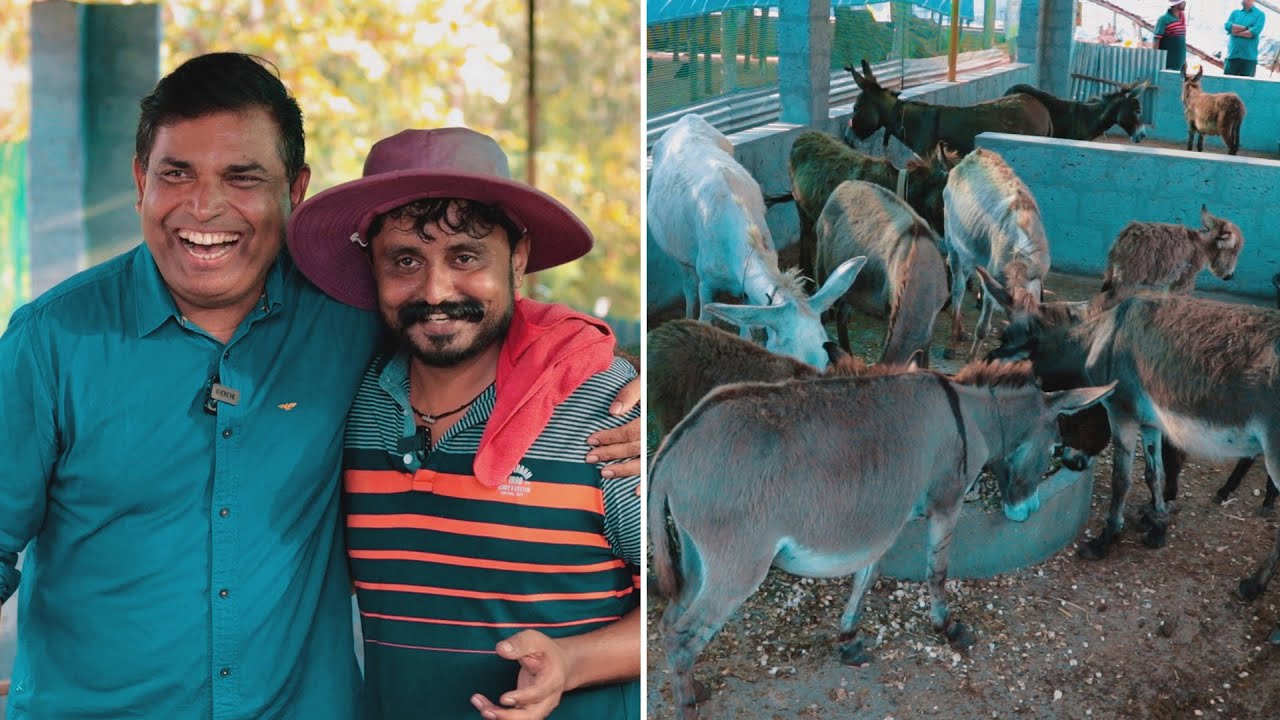 My dear donkey - ಕೈ ತುಂಬಾ ಸಂಬಳ ತರುವ ಐಟಿ ಕೆಲಸ ಬಿಟ್ಟು ಶ್ರೀನಿವಾಸರು ಕತ್ತೆ ಸಾಕಲು ಹೊರಟಿದ್ದೇಕೆ? : Nandalike