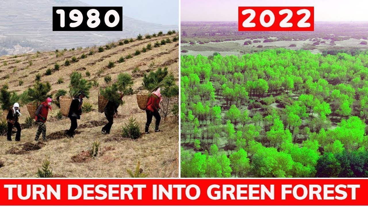 The Six Old Men Who Stopped a Desert