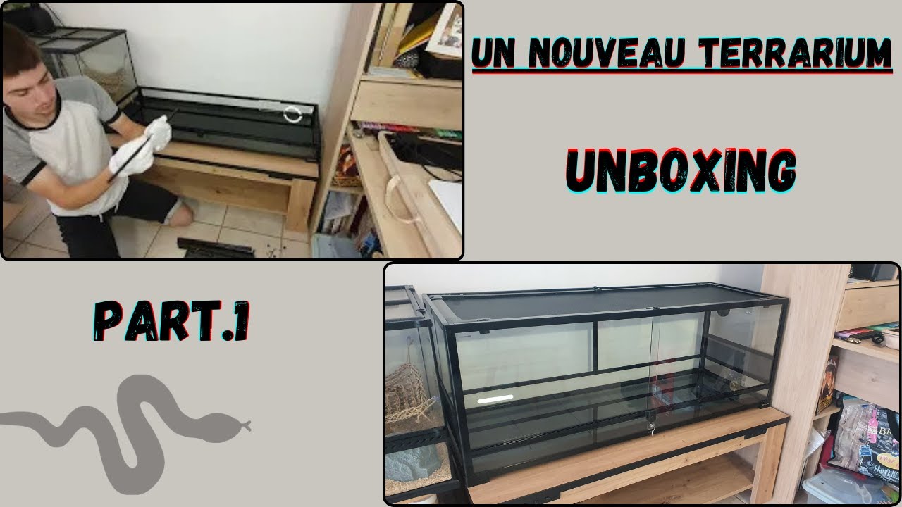 Un nouveau terrarium #part1