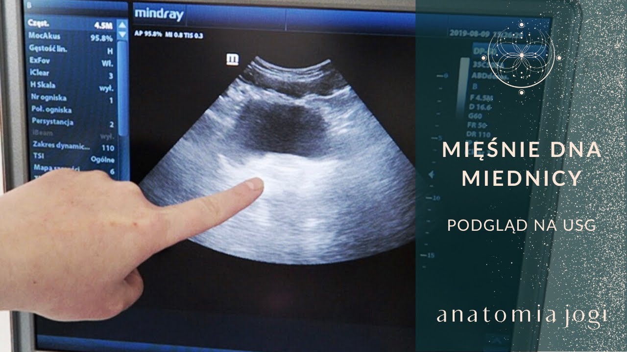 Praca mięśni dna miednicy - podgląd na USG!