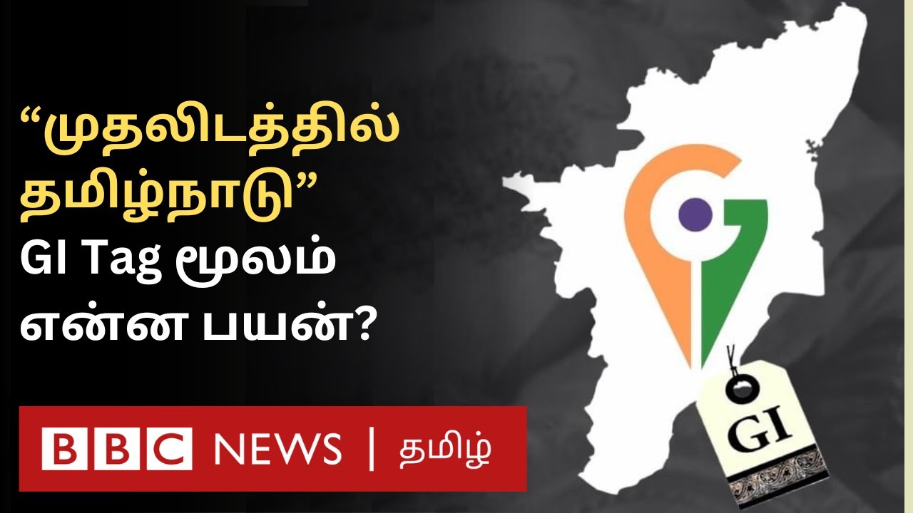 What is GI Tag: புவிசார் குறியீடு பெறுவதால் என்ன பலன்? யாரெல்லாம் விண்ணப்பிக்க முடியும்? Explainer