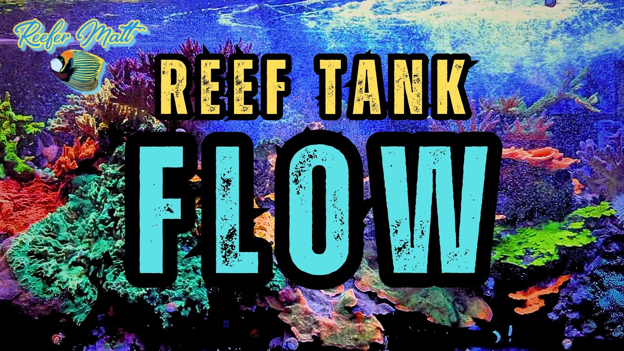 Reef Tank Flow!