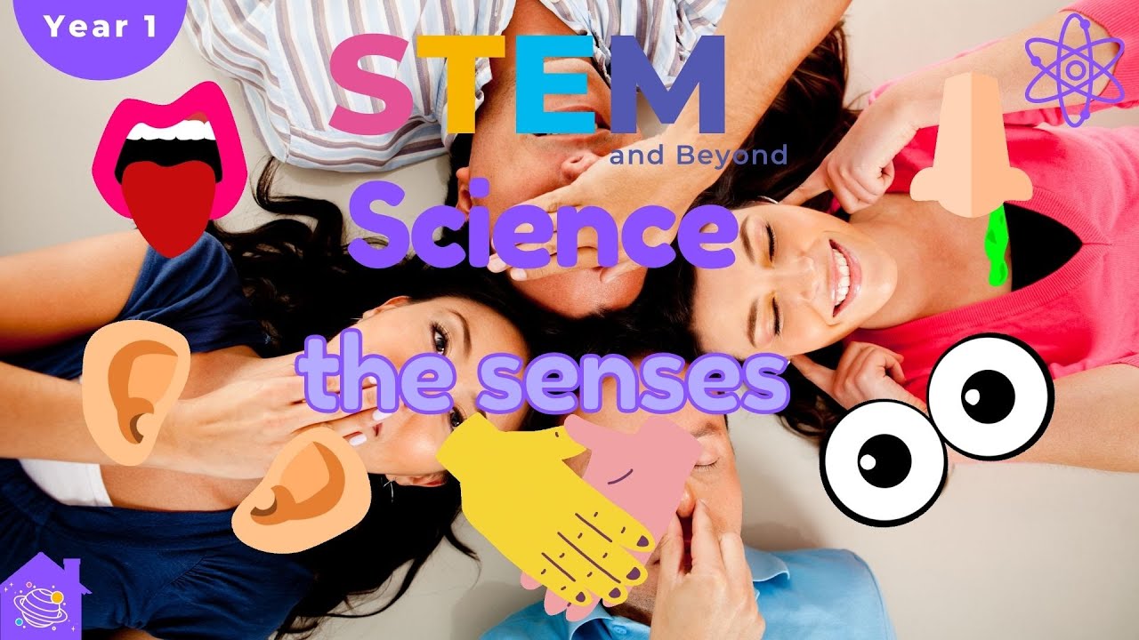 Senses | KS1 Year 1 Science |  Home Learning