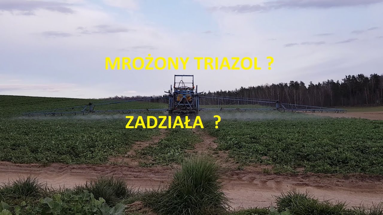 Tebukonazol (triazol). Co się stanie gdy go zamrozimy? Czy zadziała ?
