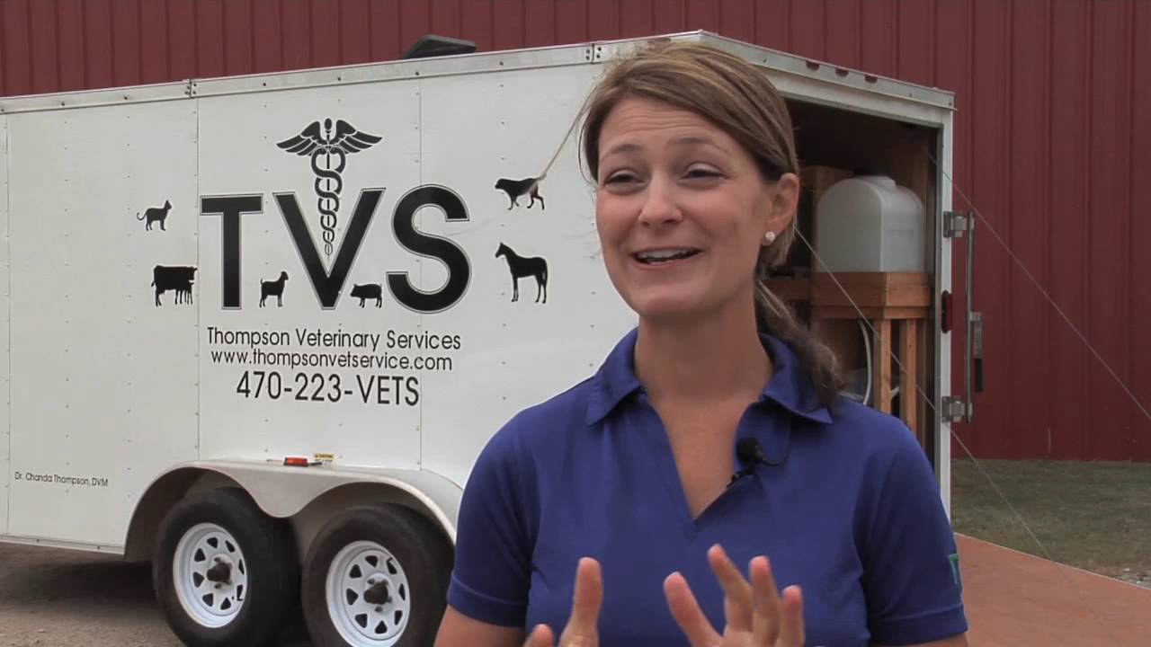 Large Animal Vet Fills Need In & Around Lamar County, Georgia