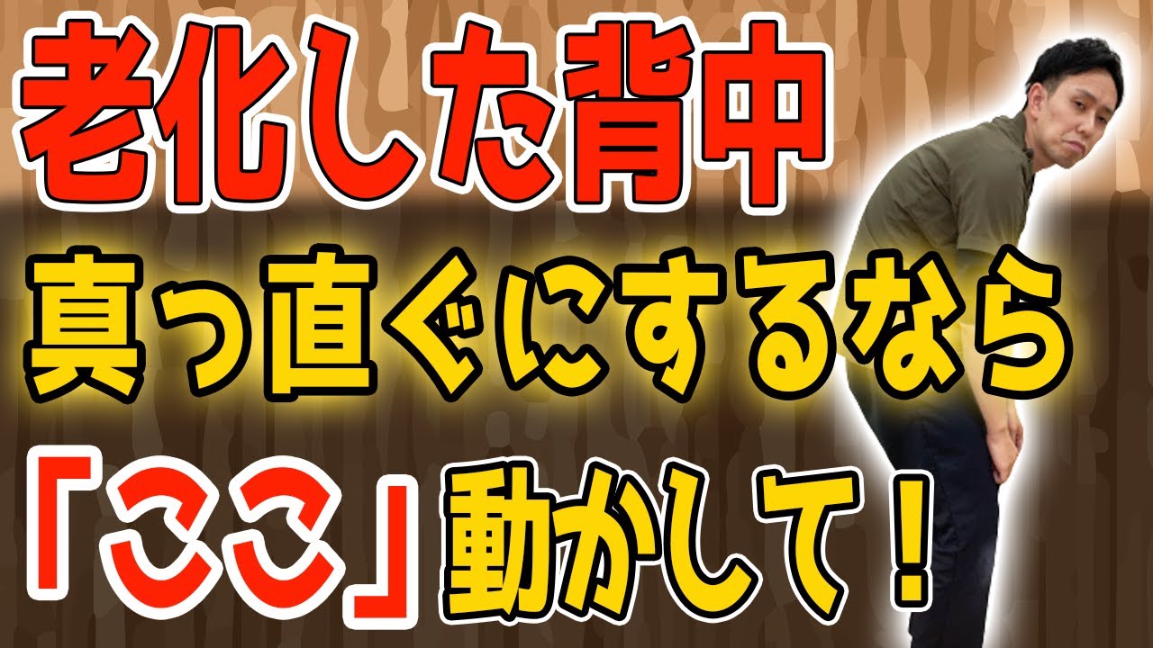 【姿勢】老化した背中真っ直ぐにするなら「ここ」動かして！背中の圧迫骨折や自律神経の乱れも解消する座りながら２分エクササイズ！