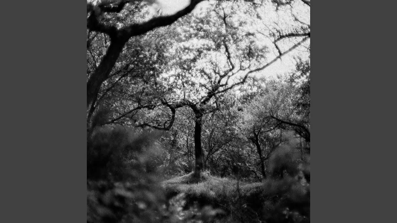 Tension III