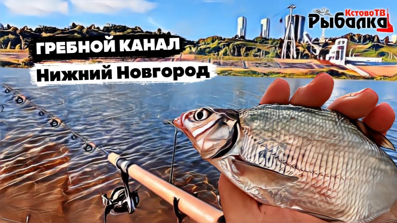 Ловля подлещика и даже Чехонь есть.Гребной канал Нижний Новгород фидер осенью.