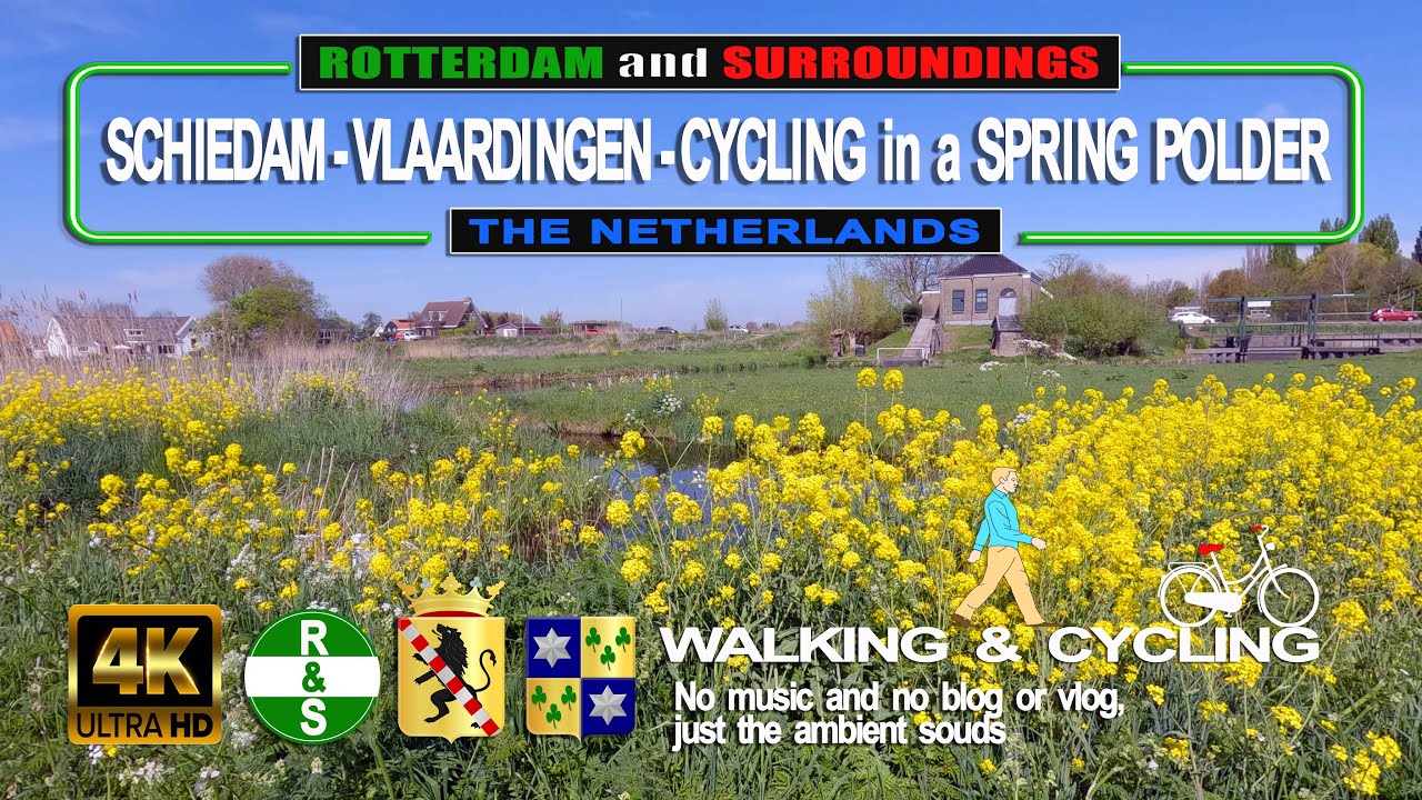 (4K) SCHIEDAM/VLAARDINGEN - CYCLING IN A SPRING POLDER (The Netherlands) Walking and Cycling