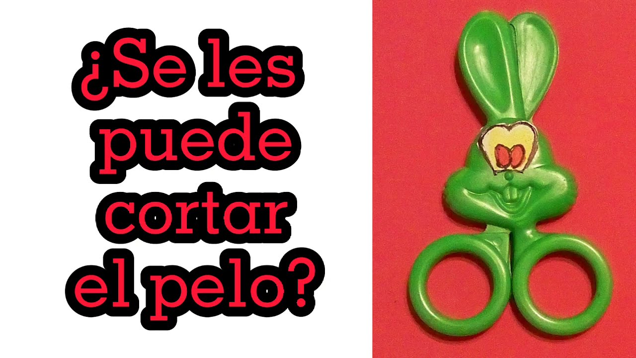 Conejos de pelo largo y angora. Cómo peinar🐰Sesión de peluquería para un 🐇de pelo largo.