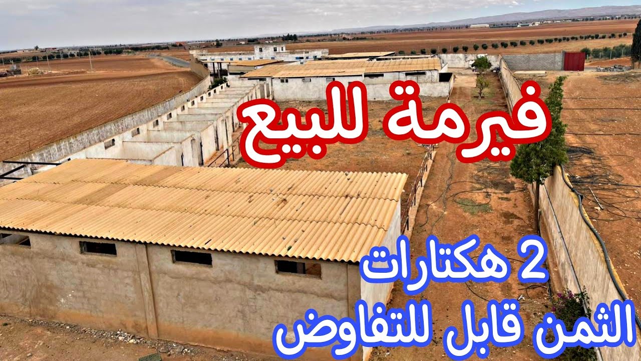 الله على فيرمة كبيرة للبيع 💫2 هكثار نواحي أسفي🇲🇦 من يهمه الأمر إتصل بلمهور 06.61.32.99.48🤔