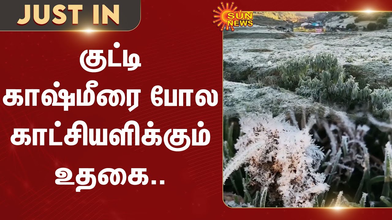 Snow Fall | Started | Ooty | People | Worried | Chennai | Kashmir | Sun News