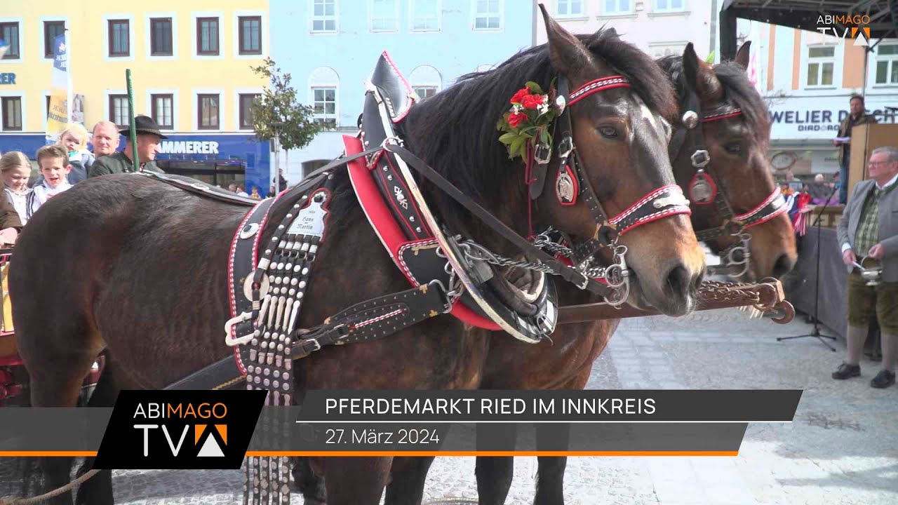 Pferdemarkt Ried im Innkreis 2024 🐎