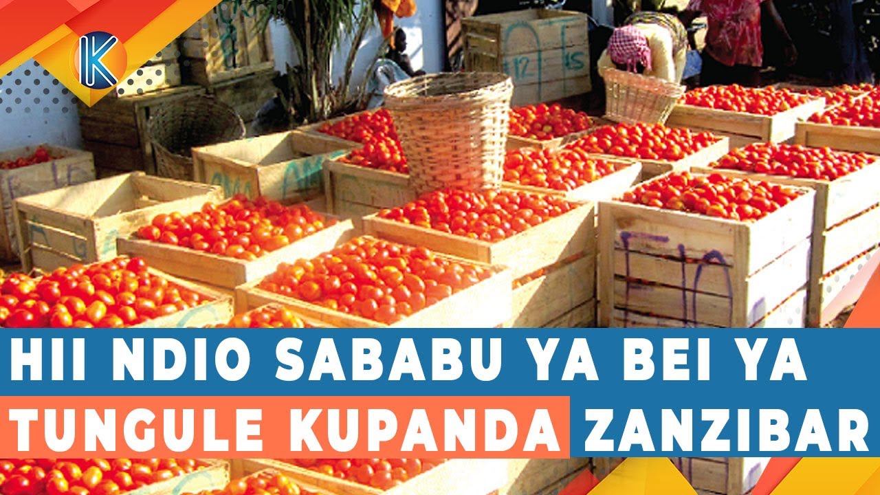HII NDIO SABABU YA BEI YA TUNGULE KUPANDA ZANZIBAR