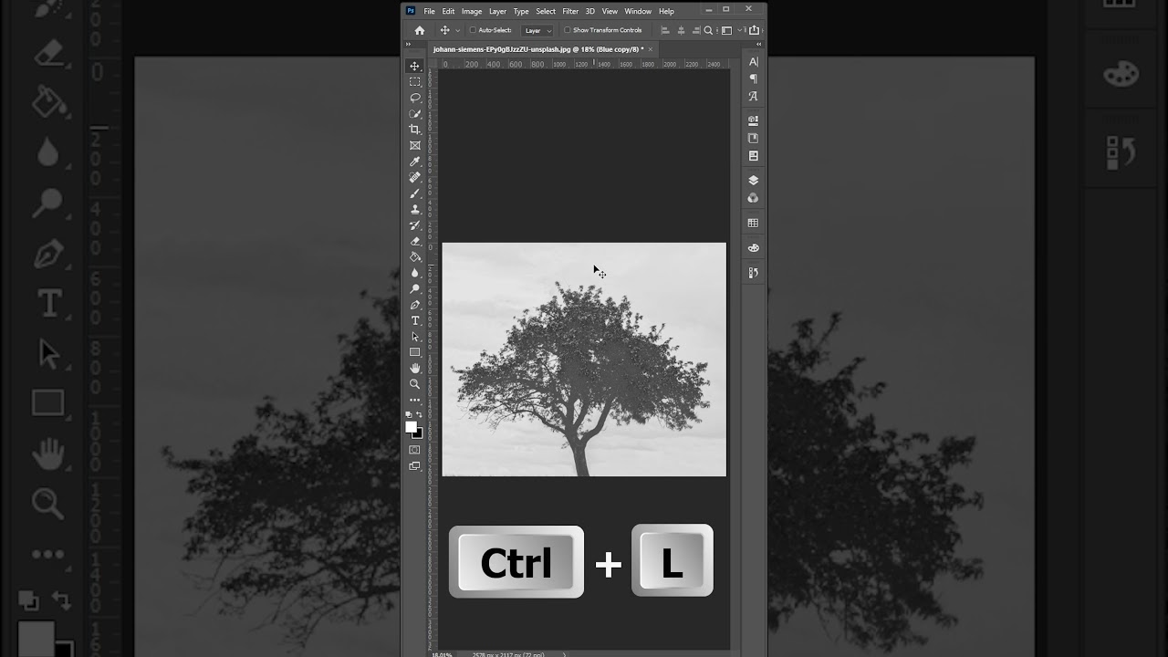 Tree Selection in Photoshop