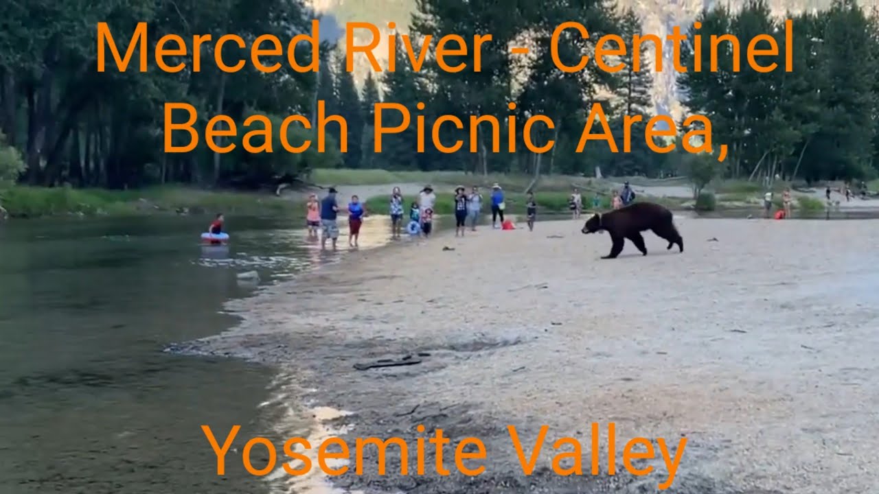 Merced River - Centinel Beach Picnic Area | Yosemite Trip July 2020 | Part 4