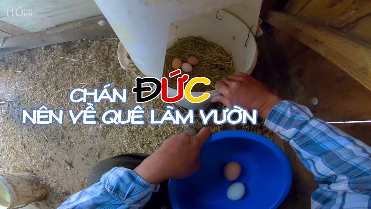 Cuộc Sống ở Séc - Vlog 23: Chán ĐỨC Nên Về Quê Làm Vườn, Chăn Vịt
