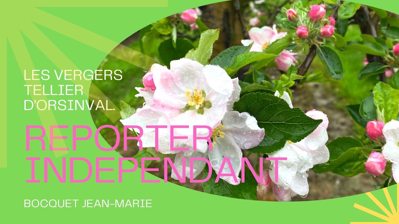 Les vergers Tellier d'Orsinval 2023, Valenciennes Le Quesnoy la route des pommes.