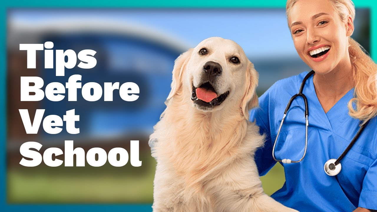 Tips To Prepare For Vet School While In Undergrad | Questions With Crocker - Ep34