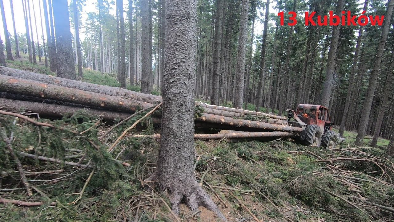 LKT 80 13 m3, syta wiącha drzewa
