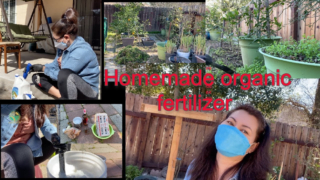 Organic Homemade fertilizer for my gardens