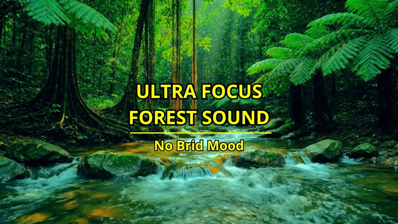The Secret to Quality Sleep: Stable and Soothing Natural River Sounds