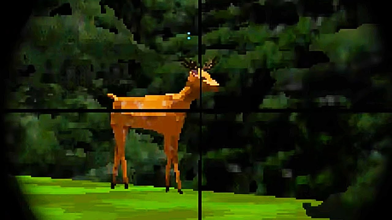 MY FRIEND BROKE INTO MY HOUSE TO SHOOT DEER