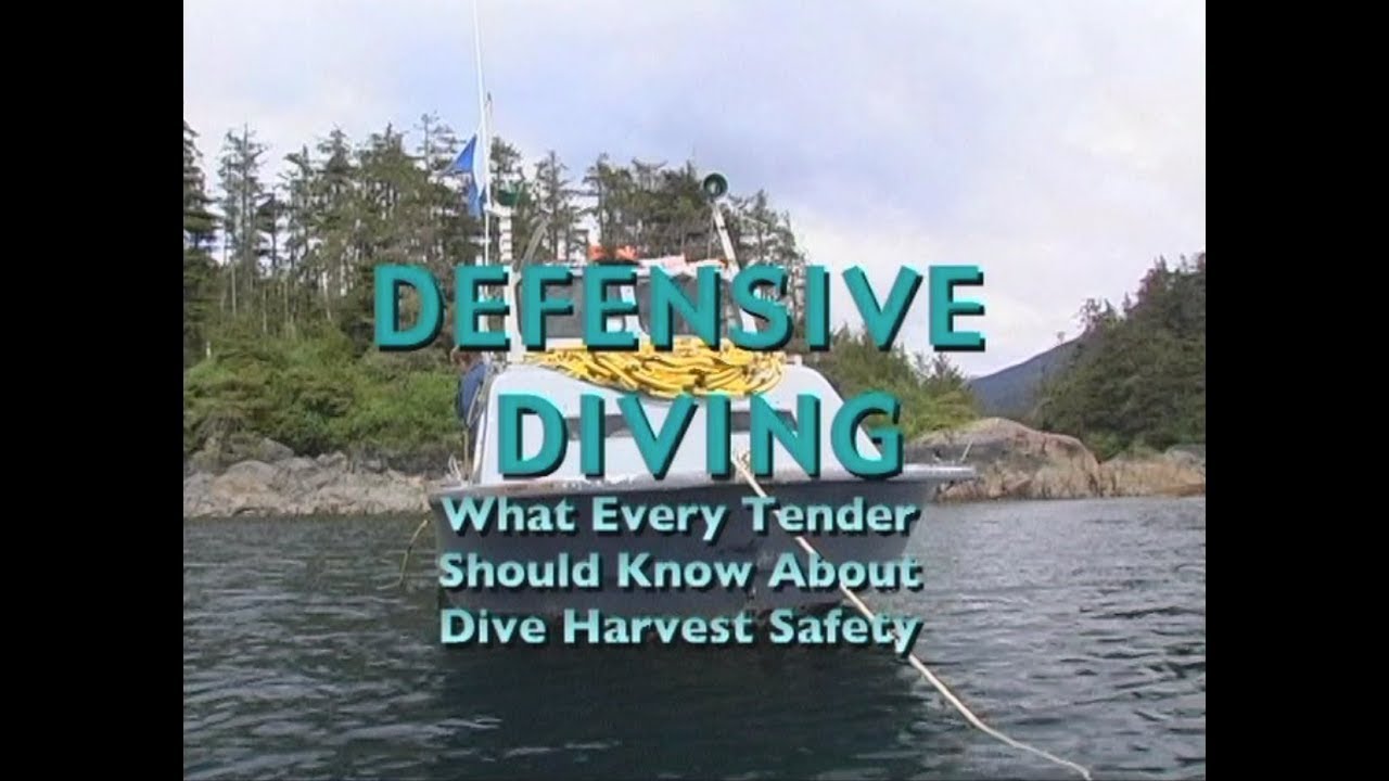 Defensive Diving: What Every Tender Should Know About Dive Harvest Safety