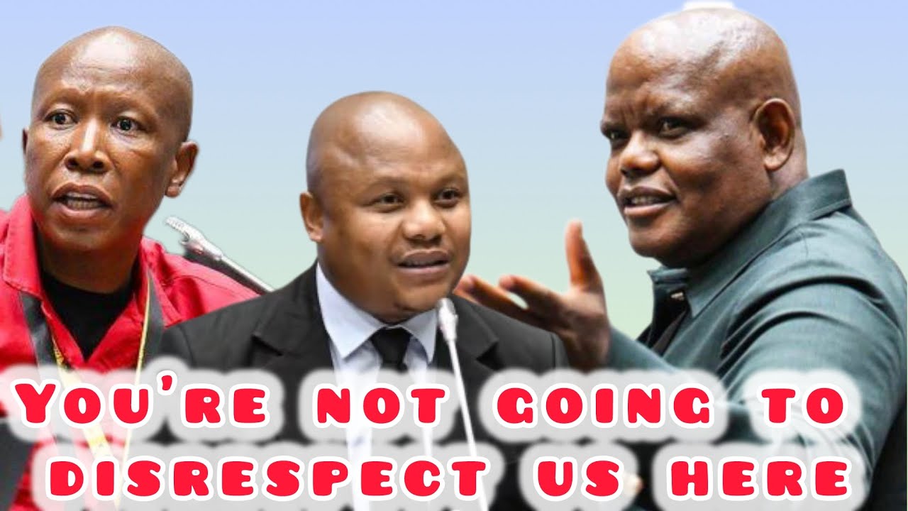 MPs grilling General Mphahlane | Yu ou can't tell us which question to ask here