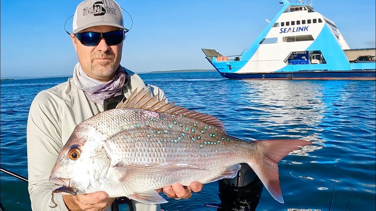 Brisbane Inshore Snapper Fishing