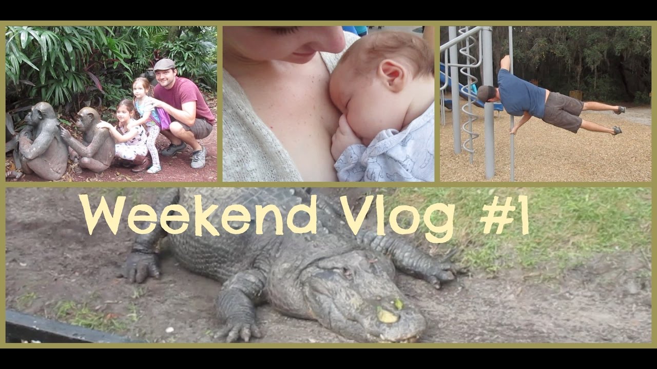 Weekend Vlog Chinese New Year + Busch Gardens + Park Party
