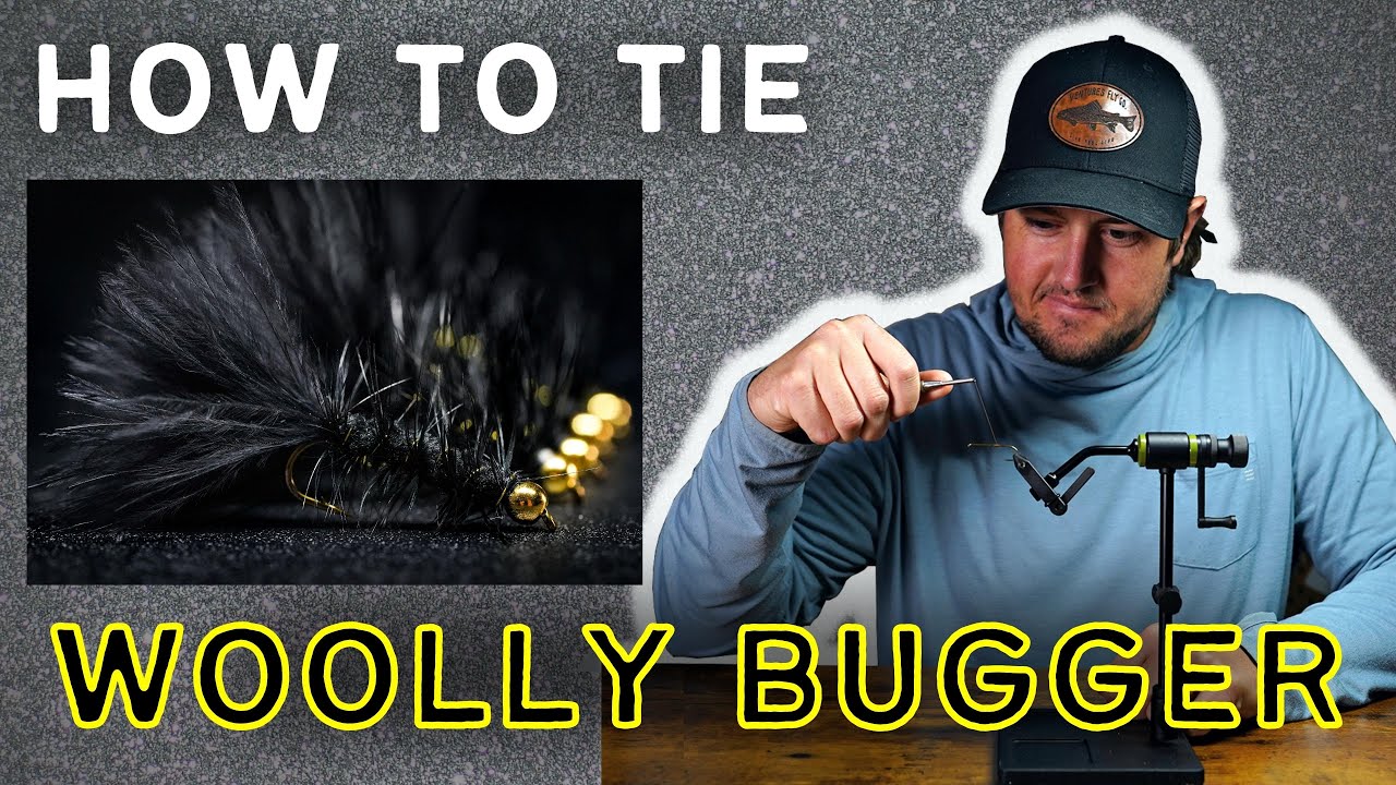 Woolly Bugger — How to Tie Step by Step | Beginner Friendly Fly Tying Tutorial