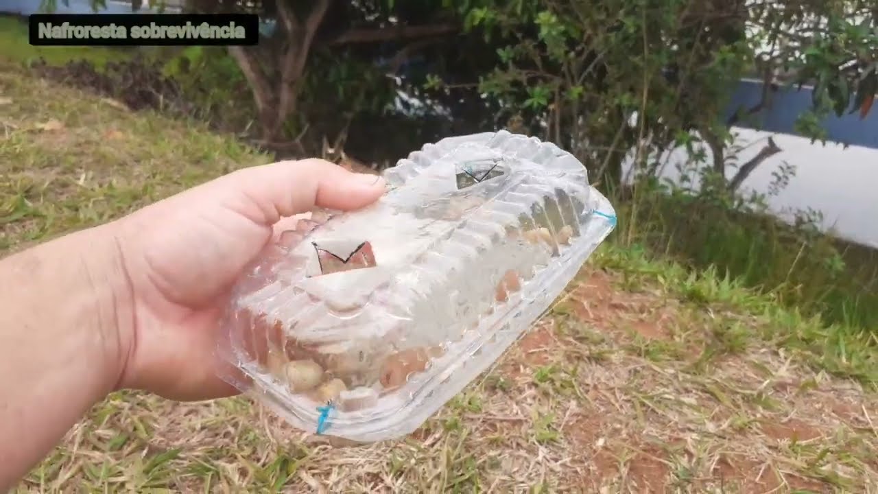 Armadilha pega peixe feita de embalagem de bolo