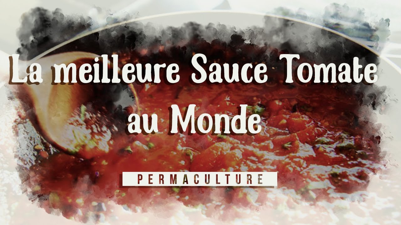 La meilleure sauce tomate du monde : la Recette et la Conservation FACILEMENT