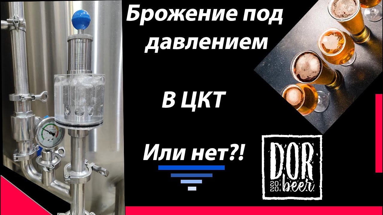 Брожение пива в ЦКТ. Шпунтование, сбор дрожжей, аэрация сусла.