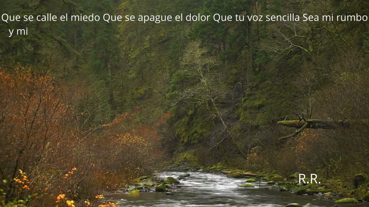 Solo tu mi Señor, #buenosdias #alabanza #adoración #paz #suno #canva #musicacristiana #amordedios