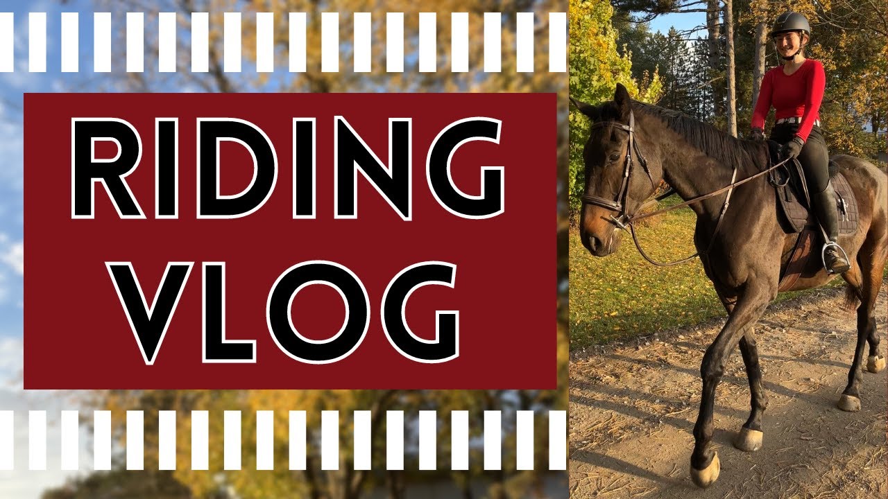 Lesson Day! || IRL Riding Vlog