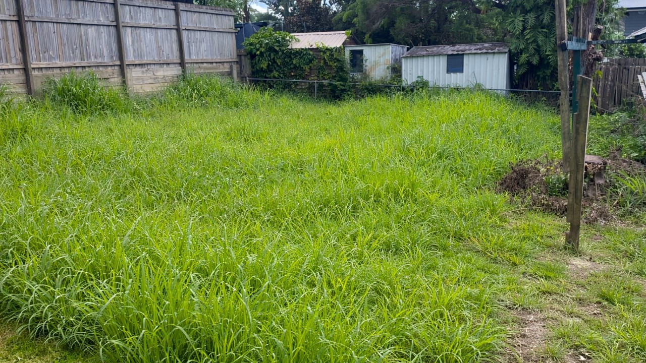 This wildly OVERGROWN backyard BROKE our mower