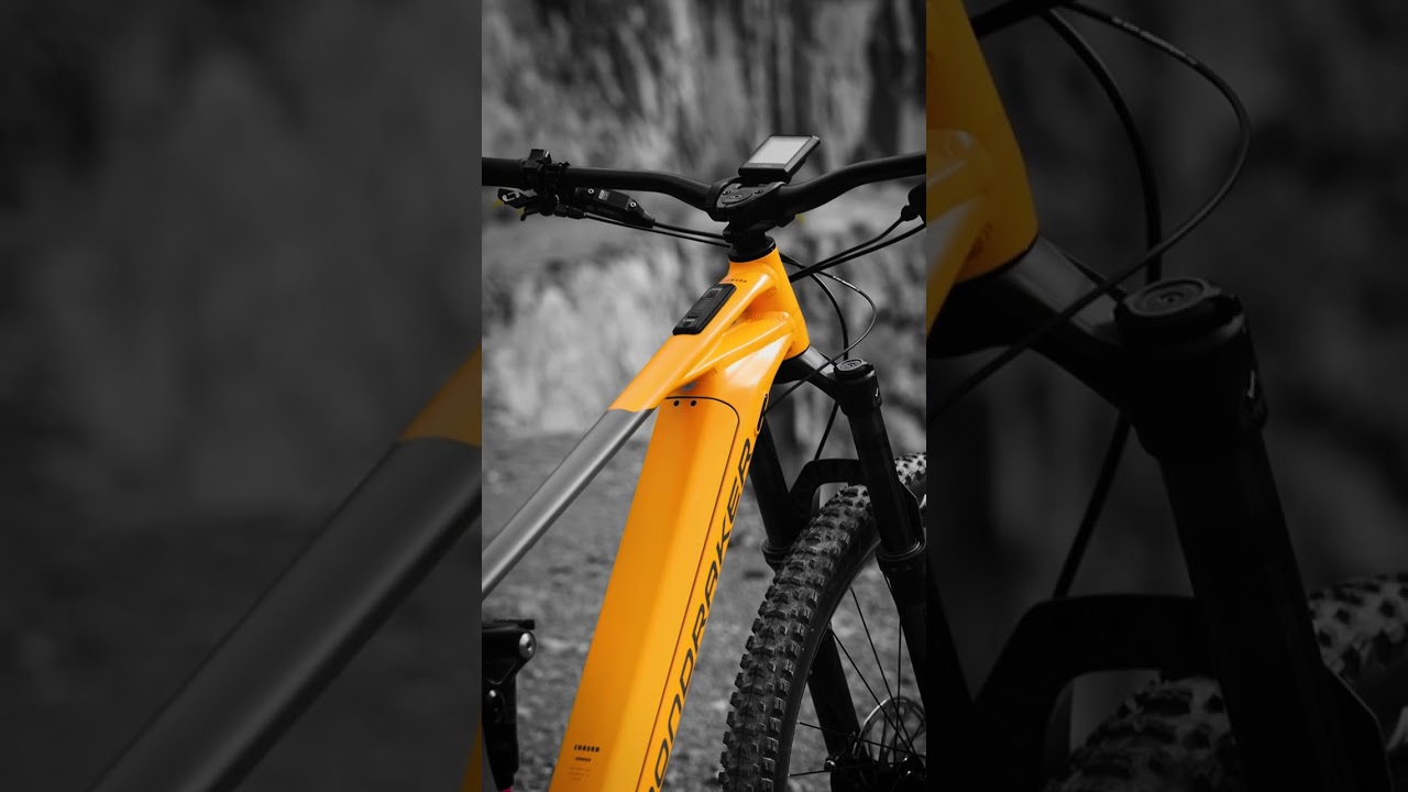 MONDRAKER CHASER R