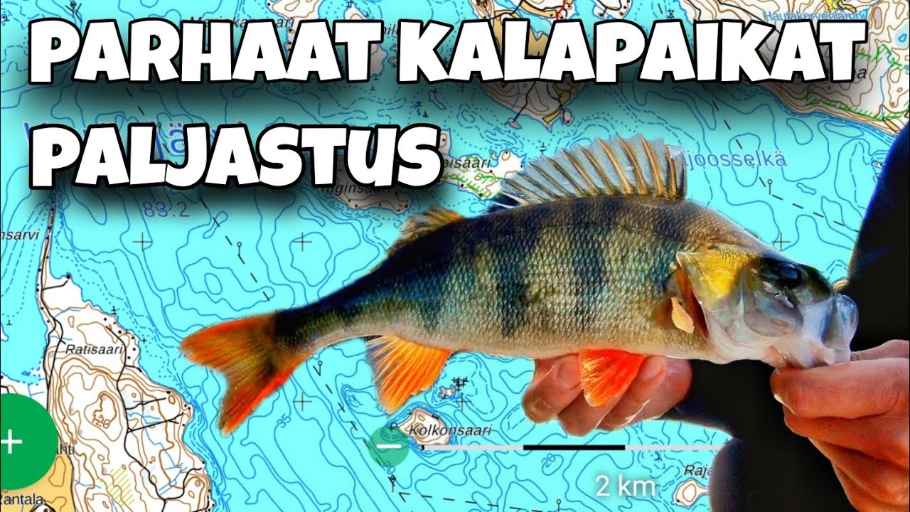 PALJASTUS | KUINKA LÖYDÄT PARHAAT KALAPAIKAT KARTALTA | GOOGLE SATELLIITTIKARTAT | KARTTASELAIN