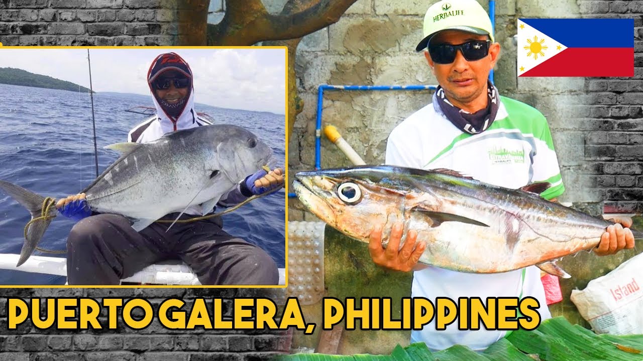PUERTO GALERA FISHING ADVENTURE