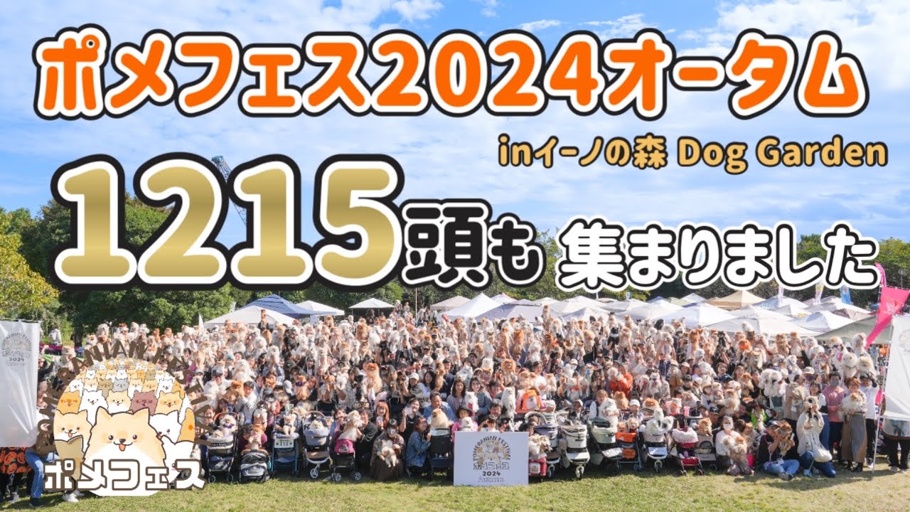 【神イベント】ポメフェスに行ってみたらポメラニアンしかいなかった件
