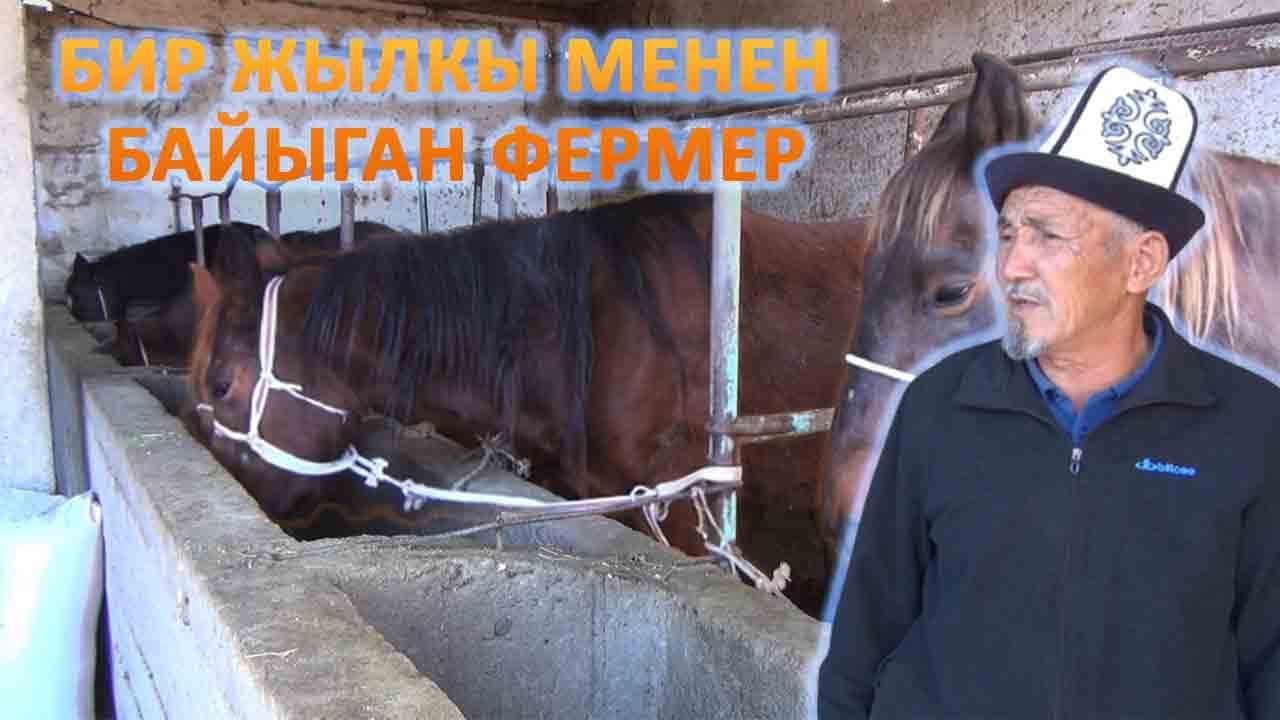 Колпоч Бериков: Бир жылкы байышыма себеп болгон